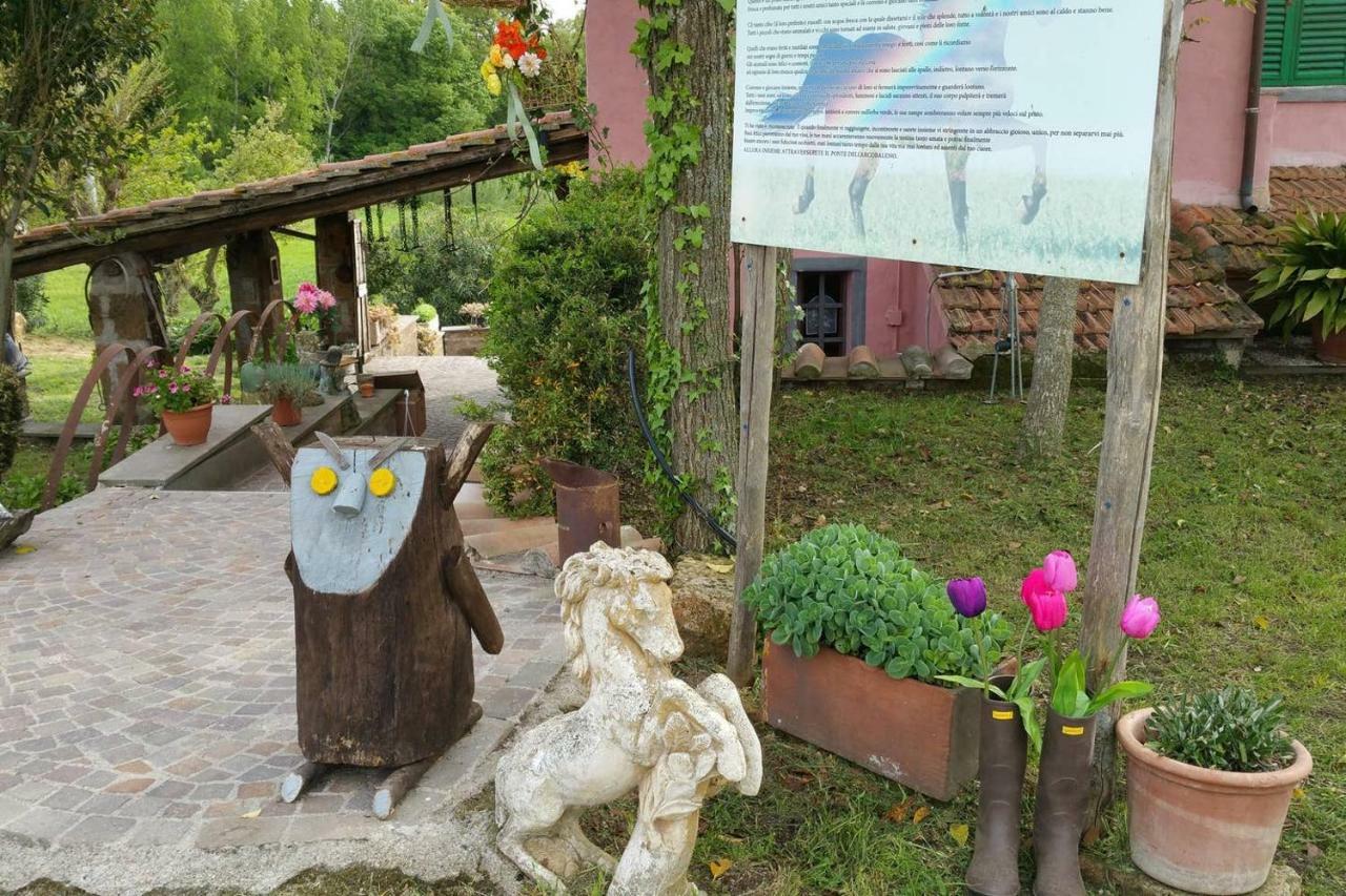 Piccolo Casale A "Le Moline" In Una Vera Fattoria Vetralla Extérieur photo