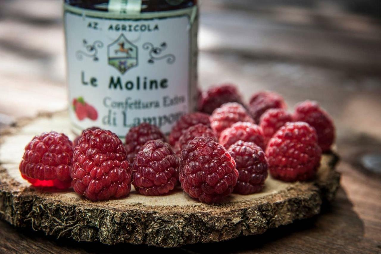 Piccolo Casale A "Le Moline" In Una Vera Fattoria Vetralla Extérieur photo